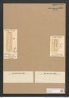 Amphiprora eximia Grev. (de-Toni-Nr.: Genus 29, Species 1333) Zeichnungen Sammlung Grunow Nr. 2562 (NHMW-BOT-W0369745)